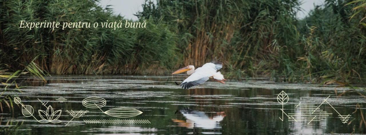 Pensiunea Nest Dunavăţu de Jos 外观 照片