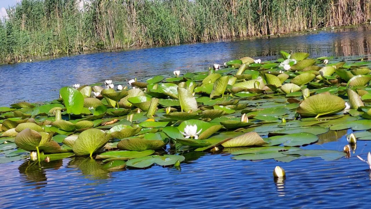 Pensiunea Nest Dunavăţu de Jos 外观 照片