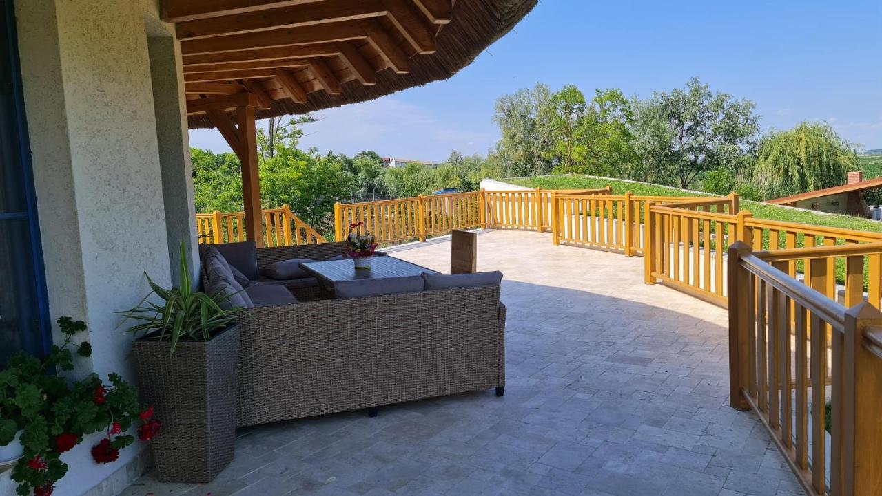 Pensiunea Nest Dunavăţu de Jos 外观 照片
